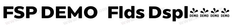 FSP DEMO   Flds Dspl字体转换